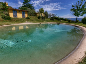 Cozy Cottage in Graffignano Italy with Swimming Pool